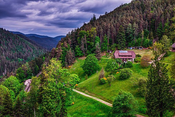 Black Forest, Germany: A Mystical Woodland Known for Dense Forests, Fairy Tale Villages, and the Famous Cuckoo Clocks