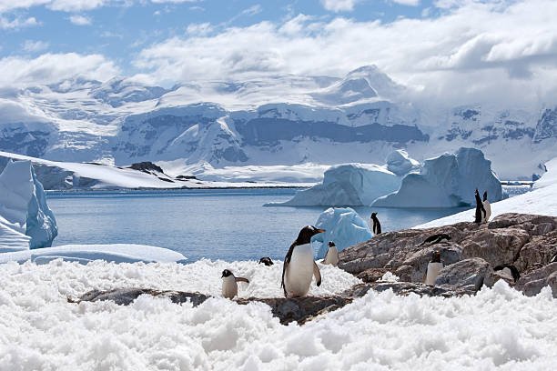 Antarctic Peninsula: A Remote, Icy Wilderness Home to Stunning Glaciers, Unique Wildlife, and Breathtaking Polar Landscapes