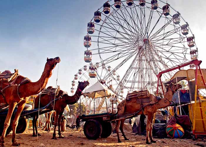 Pushkar Camel Fair, India: A Vibrant Annual Festival Showcasing Livestock Trading, Cultural Performances, and Traditional Rajasthani Festivities