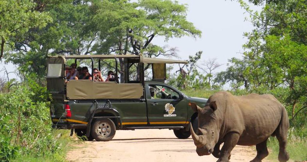 Kruger National Park, South Africa: A Premier Safari Destination Home to the Big Five, Vast Landscapes, and Diverse Wildlife