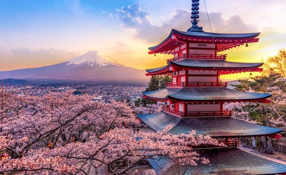 Tokyo, Japan: A Dynamic Metropolis Blending Ancient Traditions, Cutting-Edge Technology, and World-Class Cuisine