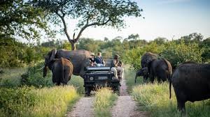 Kruger National Park, South Africa: A Vast Wildlife Sanctuary Home to the Big Five and Stunning African Landscapes