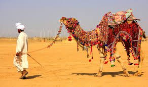 Rajasthan Desert, India: A Vast Golden Landscape of Sand Dunes, Rich Culture, and Historic Forts in the Thar Desert