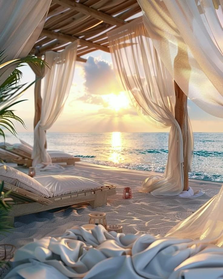 Indulge in refined comfort. Sleep in overwater villas, dine under stars, relax in spas, sip champagne at sunrise—every moment tailored for pure elegance.