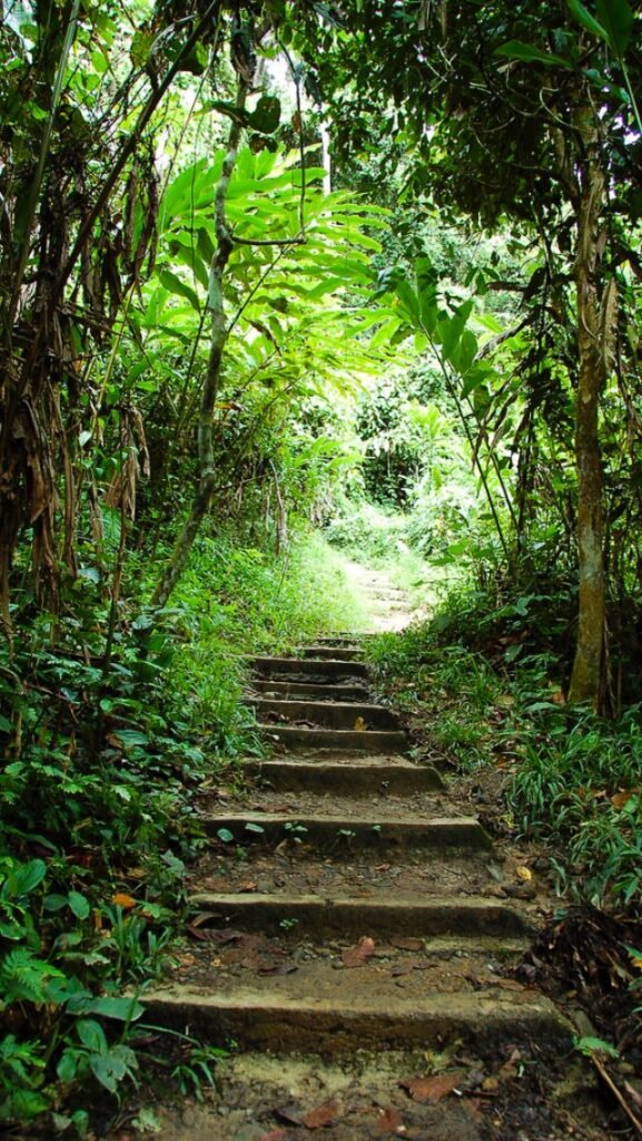 Leave the roads behind. Hike forest trails, paddle through rivers, sleep beneath stars, and awaken to the wild calls of untouched, majestic landscapes beyond imagination.