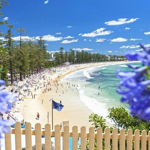 Sydney Uncovered: Beaches, Landmarks, and Hidden Cafés
